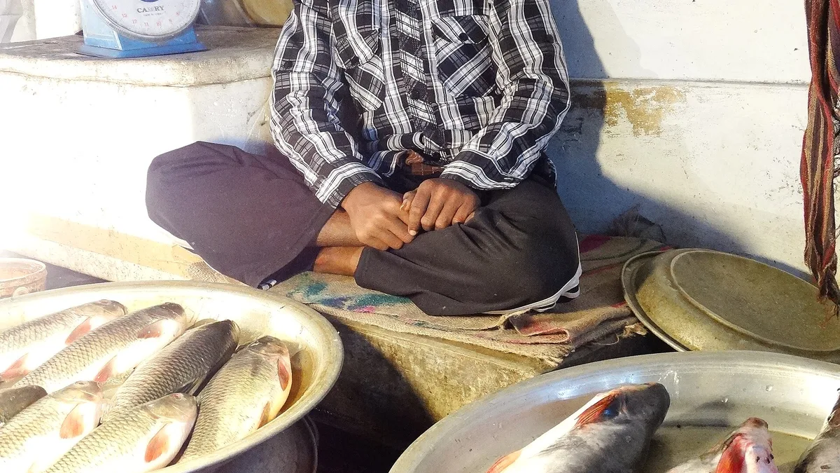 By Vendor